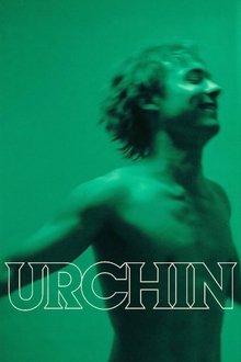 Urchin